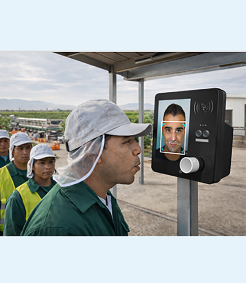 Alcoholímetro AL 8800 BLUETOOTH